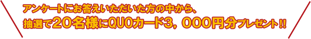 アンケートにお答えいただいた方の中から、抽選で20名様にQUOカード3,000円分プレゼント‼