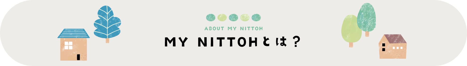 about-mynittoh
