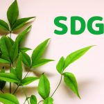 【SDGs】再生可能エネルギーの現状は？目標7「エネルギーをみんなに。そしてクリーンに」について考えよう